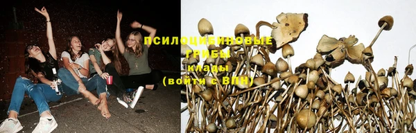 синтетический гашиш Алзамай