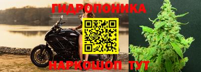 индика Абинск