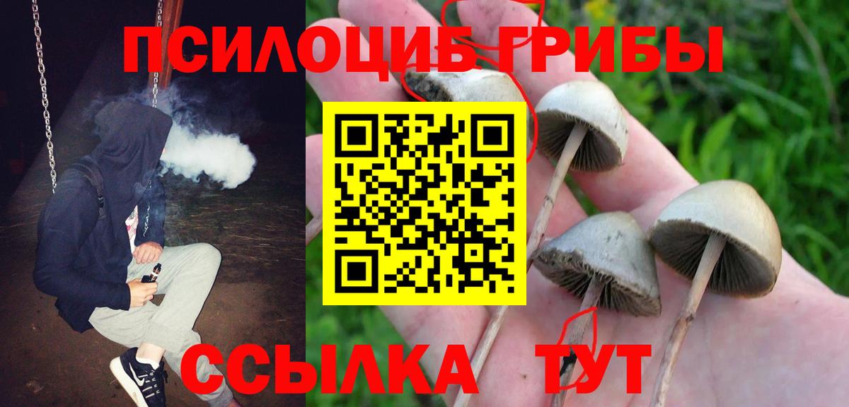 Псилоцибиновые грибы MAGIC MUSHROOMS Апшеронск