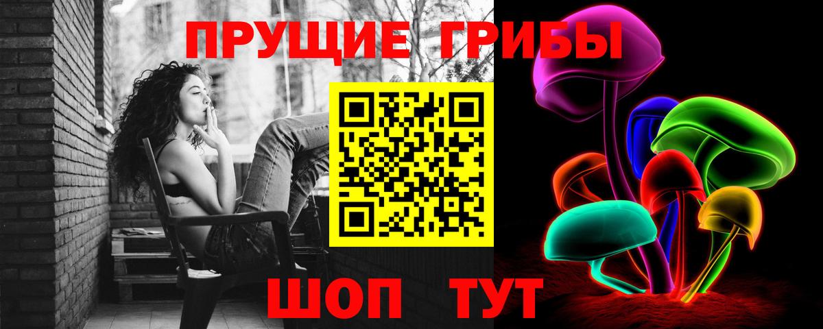 Псилоцибиновые грибы GOLDEN TEACHER Апшеронск