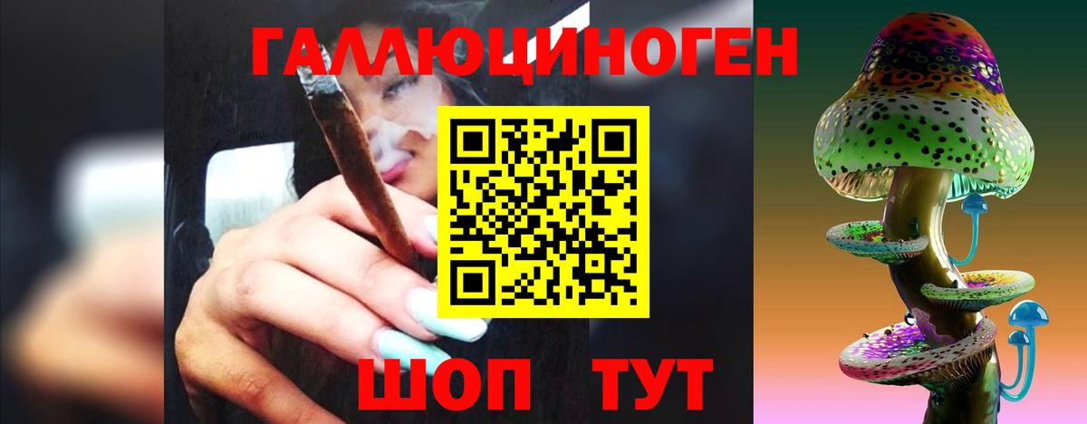 Апшеронск  Галлюциногенные грибы Cubensis  Вход с VPN 