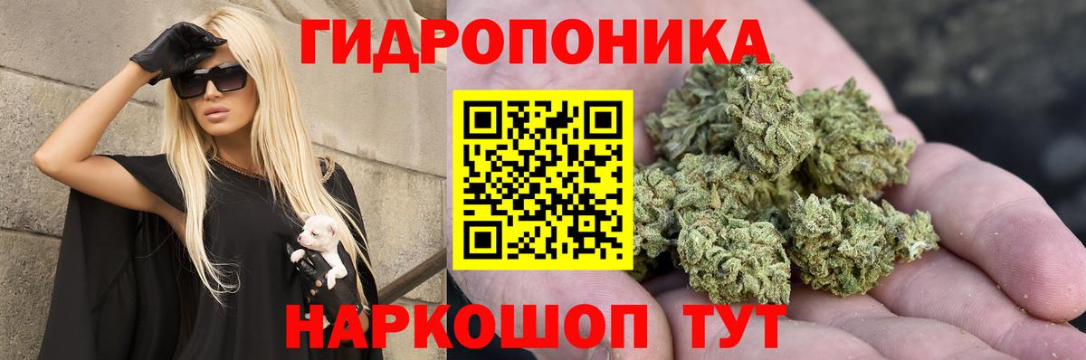 Бошки Шишки AK-47 Апшеронск